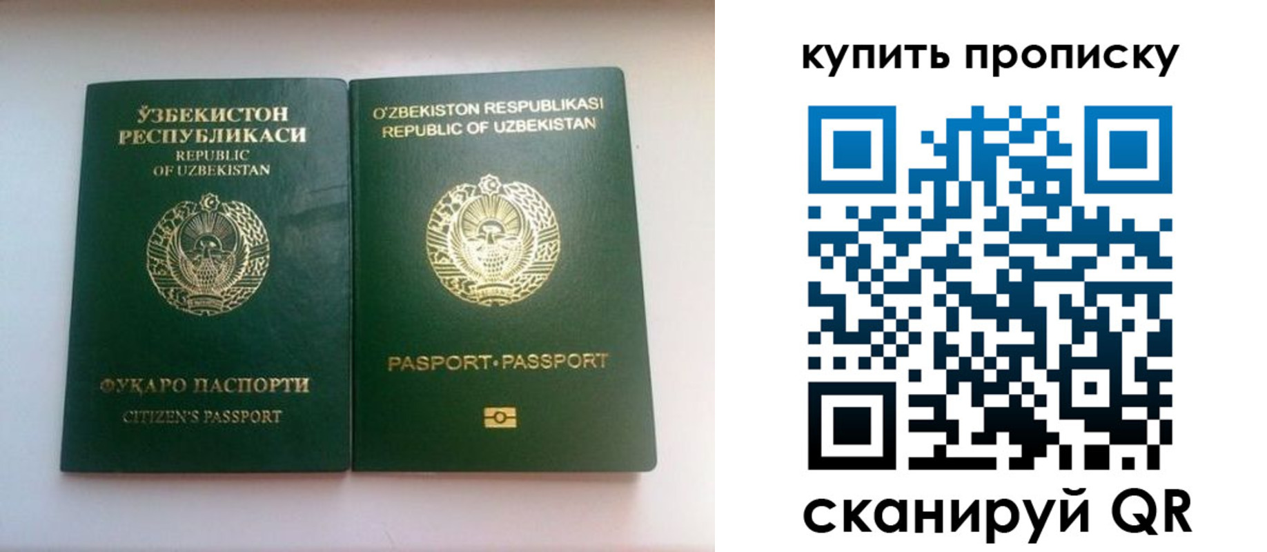 прописка в квартире в Дальнегорске